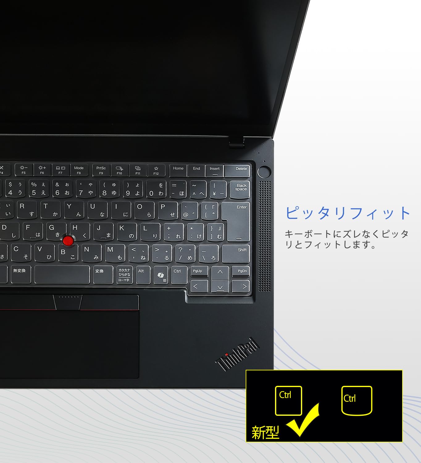 Amazon.co.jp: 2024~2025発売14